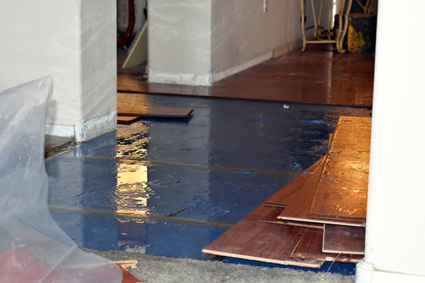 Professional Burst Pipe Cleanup technician working in Erie, KS